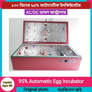 100 capacity 95% automatic incubator