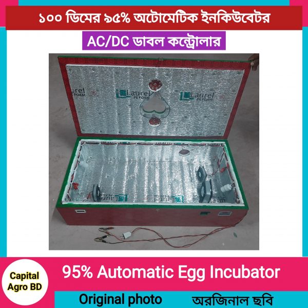 100 egg 95% automatic incubator