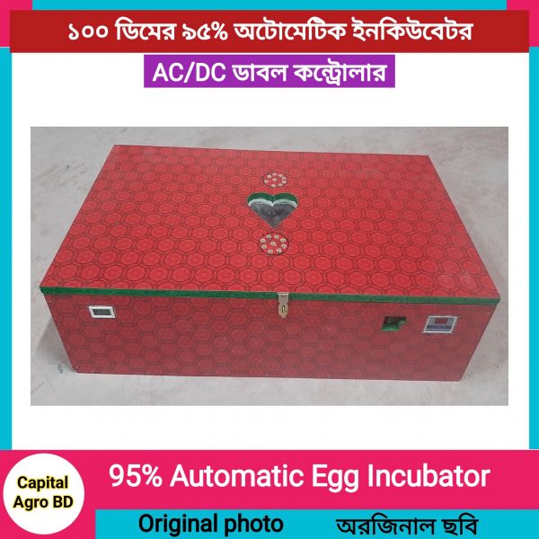 100 egg 95% incubator