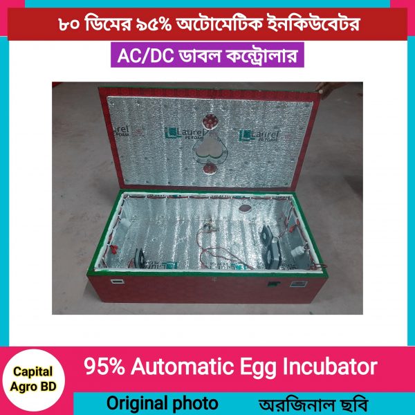 80 egg 95% automatic incubator